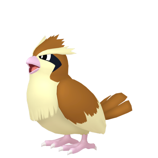 Pidgey — Pokémon HOME