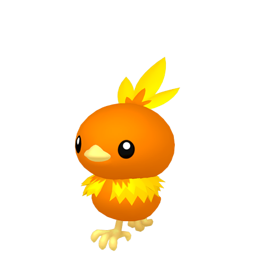Torchic — Pokémon HOME
