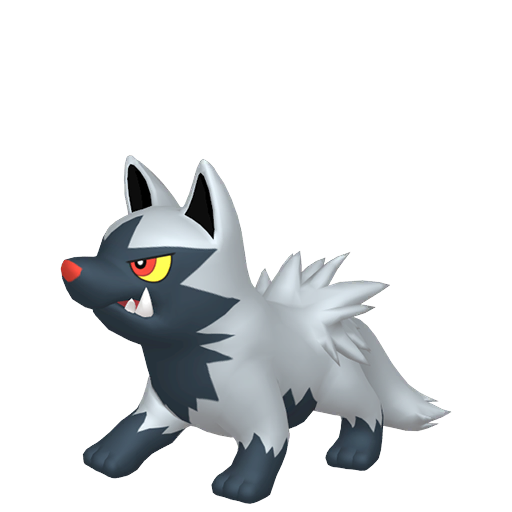 Poochyena — Pokémon HOME