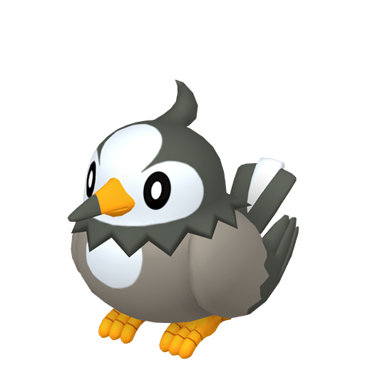 Starly — Pokémon HOME