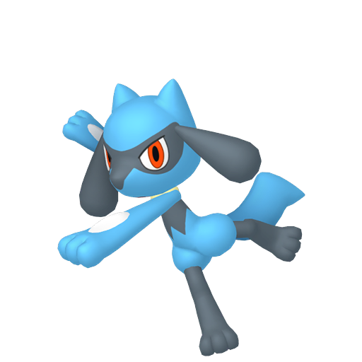 Riolu — Pokémon HOME