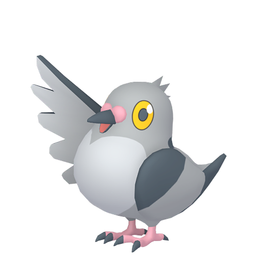 Pidove — Pokémon HOME