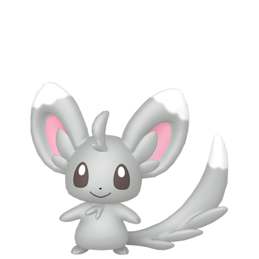 Minccino — Pokémon HOME