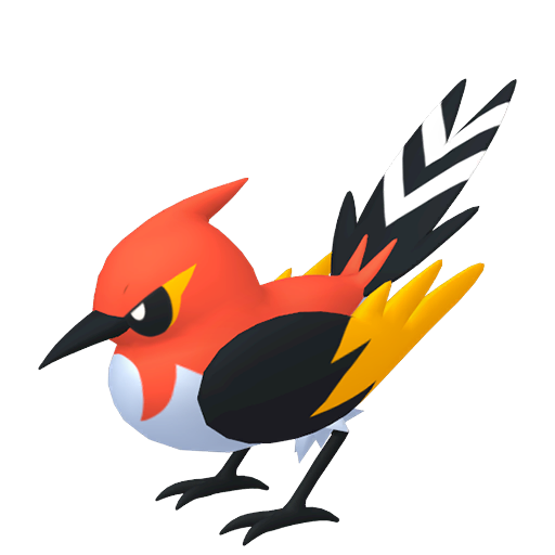 Fletchinder — Pokémon HOME