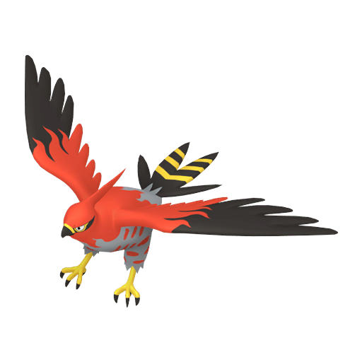 Talonflame — Pokémon HOME