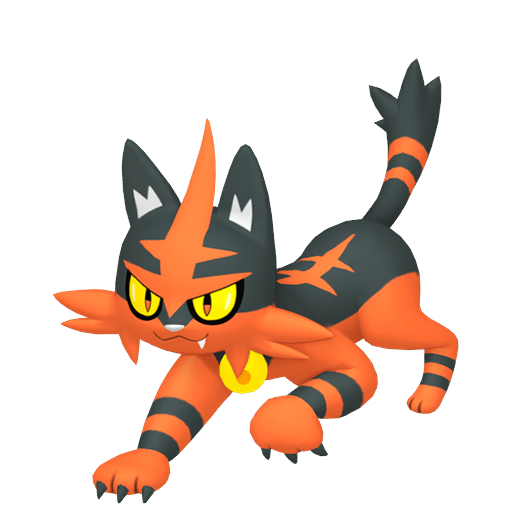 Torracat — Pokémon HOME