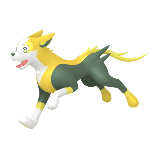 Boltund — Pokémon HOME