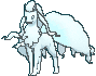 Ninetales — Showdown