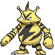 Electabuzz — Showdown