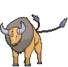 Tauros — Showdown