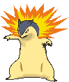 Typhlosion — Showdown