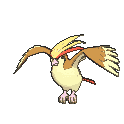 Pidgeot — Showdown