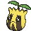 Sunkern — Showdown