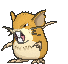 Raticate — Showdown