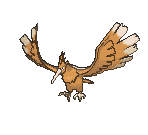 Fearow — Showdown