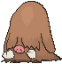 Piloswine — Showdown