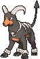 Houndoom — Showdown