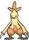 Combusken — Showdown
