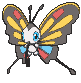 Beautifly — Showdown