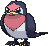 Taillow — Showdown