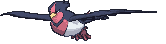 Swellow — Showdown