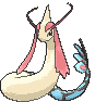 Milotic — Showdown