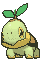 Turtwig — Showdown