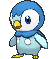 Piplup — Showdown