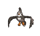 Staravia — Showdown