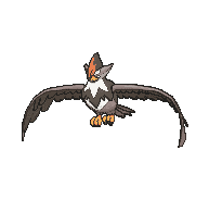 Staraptor — Showdown