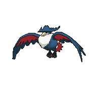 Honchkrow — Showdown