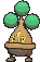 Bonsly — Showdown