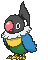 Chatot — Showdown