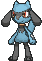 Riolu — Showdown