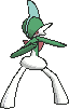 Gallade — Showdown