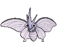 Venomoth — Showdown