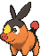 Tepig — Showdown