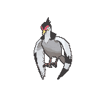 Tranquill — Showdown