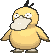 Psyduck — Showdown