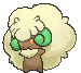Whimsicott — Showdown