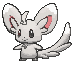 Minccino — Showdown