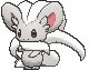 Cinccino — Showdown