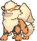 Arcanine — Showdown