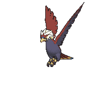 Braviary — Showdown