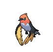 Fletchinder — Showdown