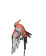 Talonflame — Showdown