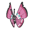 Vivillon — Showdown