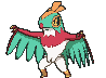 Hawlucha — Showdown