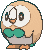 Rowlet — Showdown