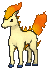 Ponyta — Showdown